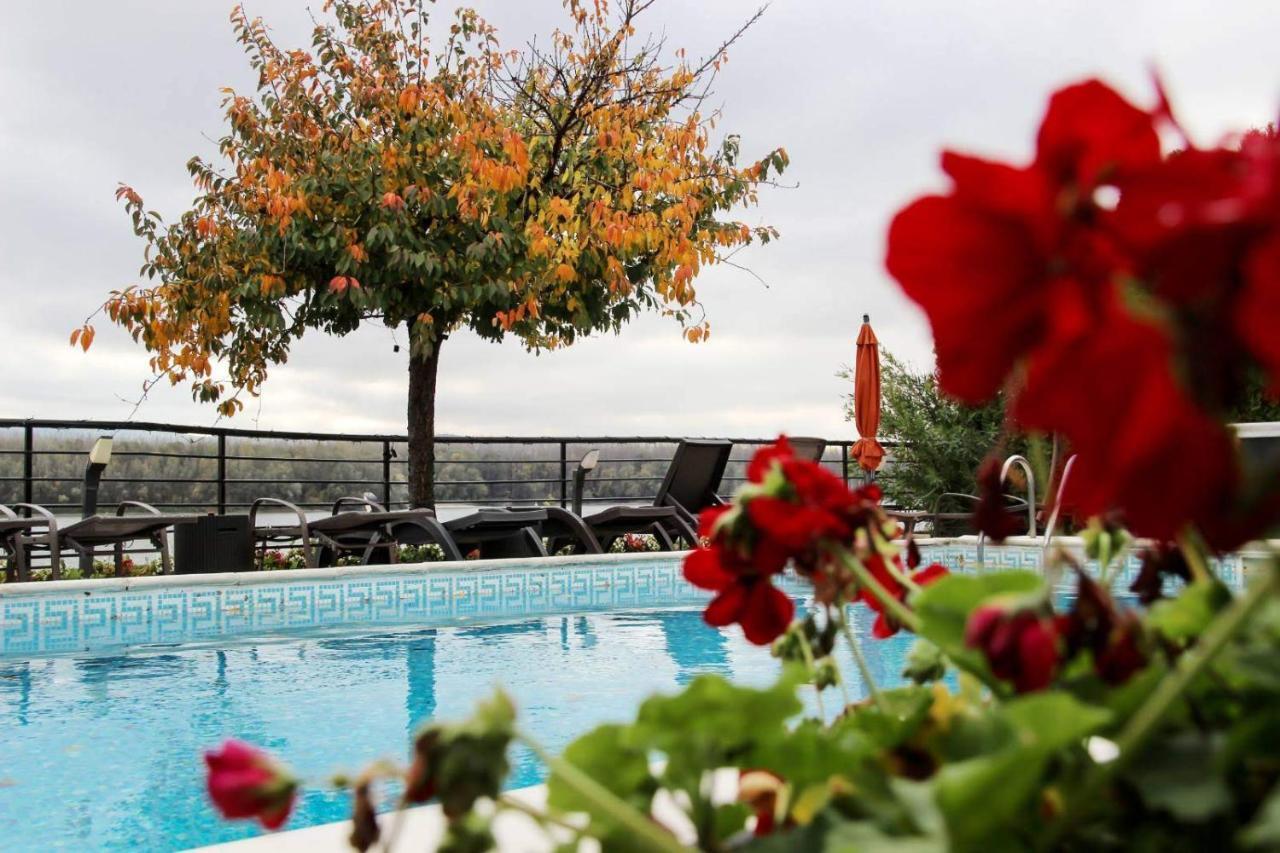 Guest House Panorama Aqualux With Free Parking Novi Sad Bagian luar foto